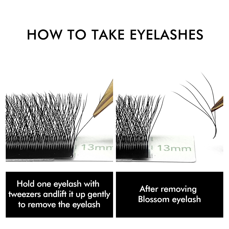 NATUHANA W 型 4D 5D ボリュームまつげエクス - Eyelash Extension Human Hair のレビューと価格